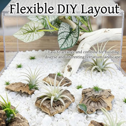 20 Pieces Tarantula Enclosure Decor Cork Bark Hide with Natural Grasses Jumping Spider Accessories Tarantula Hide and Reptile Habitat Supplies