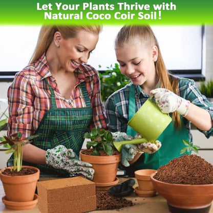 Legigo 12 Pack Premium Coco Coir Brick for Plants- 100% Organic Compressed Coconut Coir Bricks Starting Mix, Coco Coir Fiber Coconut Husk for Planting, Gardening, Potting Soil Substrate, Herbs - color: Pack of 12
