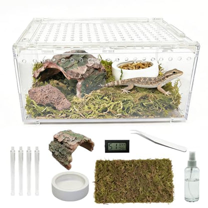 Reptile Terrarium 7.9"x 5.9" x 3.9" Small Gecko Tank Acrylic Snail Terrarium Hermit Crab Tank Spider Enclosure for Scorpion Insect Isopods Invertebrates