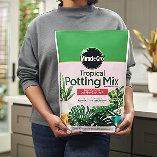 Miracle-Gro Tropical Potting Mix - Growing Media for Tropical Plants Living in Indoor and Outdoor Containers, 6 qt. (4-Pack) - size: 4 Pack, style: Potting Mix