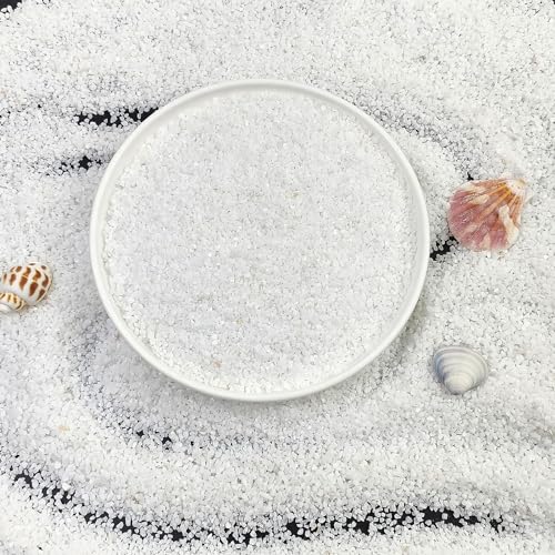 FANTIAN 10 lbs Aquarium White Sand, 0.8-2mm Coarse Sand. Small Gravel for Fish Tank, Succulent Plants Potted, Paintings, Fire Pits, Candle, Vase Filler and Crafts - color: White, size: 10 LB