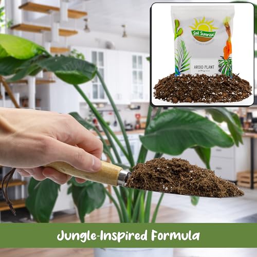 Soil Sunrise Aroid Plant Potting Soil Mix (8 Quarts) for Pothos Devil's Ivy, ZZ Plant, Chinese Evergreen, Dumb Cane Philodendron, Syngonium, Alocasia, Colocasia Etc.