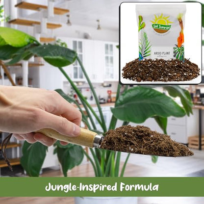 Soil Sunrise Aroid Plant Potting Soil Mix (8 Quarts) for Pothos Devil's Ivy, ZZ Plant, Chinese Evergreen, Dumb Cane Philodendron, Syngonium, Alocasia, Colocasia Etc.
