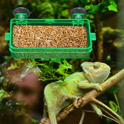 Reptile Feeder Chameleon Bowl 2 Pcs Anti-Escape Food Dish Bowl with Suction Cup for Chameleon Iguana Lizard Reptile Food and Water Feeding (Green, M) - color: Green, size: M