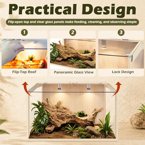 PROLEE Bearded Dragon Tank, Lizard Tank with Clear Tempered Glass, Anti-Scratch Reptile Enclosure, Reptile Tank Built-in Light Fixtures with Switch (24X16X16inch,24 Gallon) - color: Transparent Roof, size: 24X16X16inch,24 Gallons
