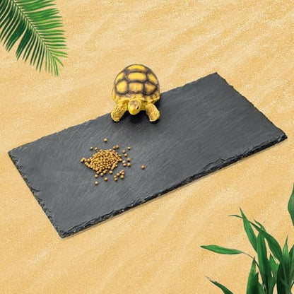 Tortoise Habitat basking Rock Feeding Dish Bowl Bearded Dragon/Lizard Original Rock Slab,Easy to Grind the Nails,with Non-Slip mats,Natural Food Bowl,Moisturizing Effect(Medium- Size) - size: Medium- Size