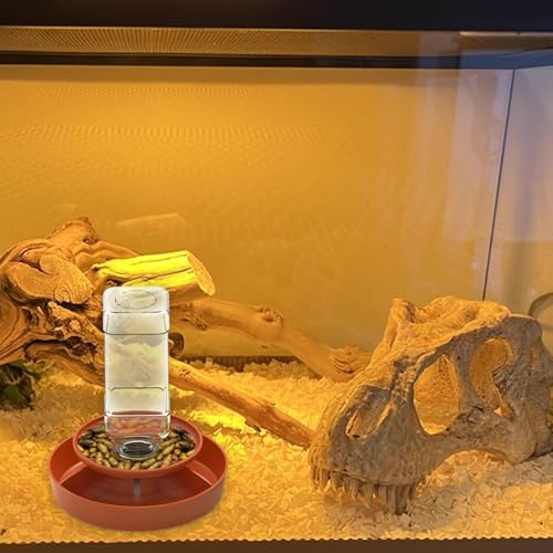 2 in 1 Reptile Food Feeders Bowl Water Bottle, Automatic Water Dispenser Reptile Feeder Kit for Amphibian Lizard Bearded Dragon Snake Feeding (Orange) - color: Orange