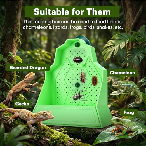 Bearded Dragon Feeder, Wall-Mounted Reptile Feeding Bowl, Anti-Escape Feeder with Suction Cup, Bearded Dragon Tank Accessories for Terrarium, Vivarium, Lizard, Gecko, Frog