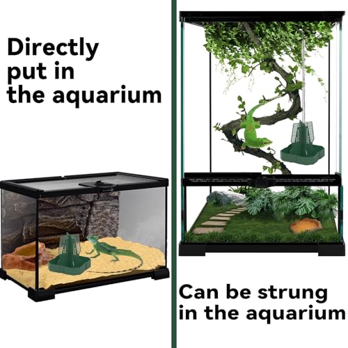 Chameleon Feeder Bearded Dragon Feeder for Mounted Insect with Rope and Tweezers, Tank and Aquarium Accessories for Lizard, Bearded Dragon, Gecko, Frog（Medium） - size: Medium