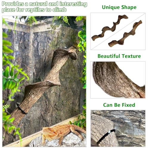 kathson Reptile Corner Branch & Hanging Plants Decor, Bearded Dragons Climbing Vine Branches,Tank Climb Branch with Terrarium Plant Accessories Ornament for Amphibians, Lizards, Snakes, Geckos, Frogs