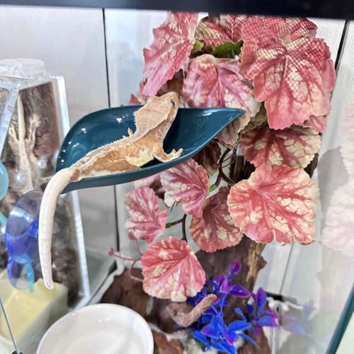 Crested Gecko Tank Accessories，3PCS,Reptile Branches，crestedgecko Hide，Gecko Wall Climbing Toy，Frog Habitat Platform，Tree Frog ，Reptile Leaf，Snake Accessories for Tank