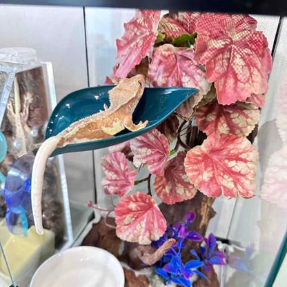 Crested Gecko Tank Accessories，3PCS,Reptile Branches，crestedgecko Hide，Gecko Wall Climbing Toy，Frog Habitat Platform，Tree Frog ，Reptile Leaf，Snake Accessories for Tank