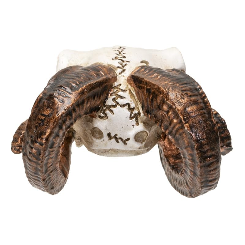 Pacific Giftware Mini Ram Skull Figurine Polyresin Skeleton Head Tabletop Decor Halloween Micro Landscape Accent by Alchemy England