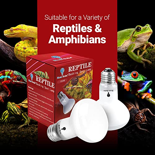 4 Pack 100-Watt Basking Light for Reptile - Heat Lamp Bulbs for Reptiles & Amphibians Broad Spectrum Reptile Light for Glass Terrariums Suitable for Bearded Dragons Light Lizards Iguanas basking Bulb