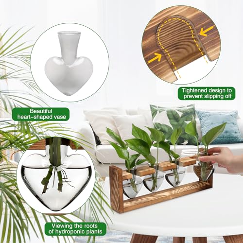 Plant Propagation Stations Heart Plant Terrarium Kit Gift for Women Plant Lover Glass Vases - color: Gray