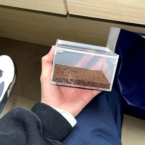 Spider Terrarium, Easy Observation, 10.5x8.5x6cm, Transparent Breeding Box, Frog Breeding Box, Portable and Convenient Enclosure, for Spiders, Snakes, Lizards, Frogs, Geckos