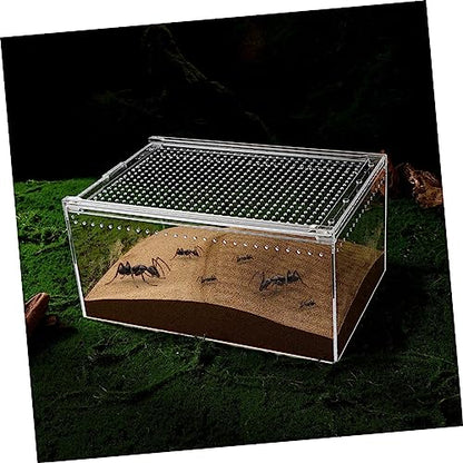 Toddmomy Leak Acrylic Snake Cage Reptile Breeding Box Ventilation for Tarantulas and
