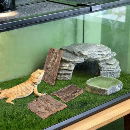 CLISPEED 4Pcs Reptile Bark Climbing Platform Natural Wood Terrarium Decor Reptile Hide Accessories for Snakes Lizards Small Pets Habitat