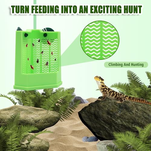 Chameleon Feeder with Suction Cups, Green Bearded Dragon Food Bowl, Wall Mount Insect Feeding Box for Reptile, Corner Hunting Bowl for Frogs Geckos, Tank Accessories (Green)