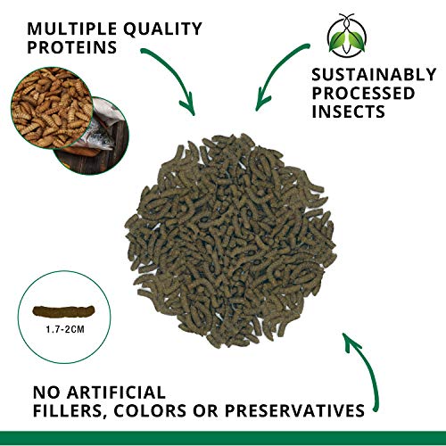 Fluval Bug Bites Turtle Food, Sticks for Medium to Large Sized Turtles, 3.53 oz., A6593, Brown - size: 3.53 Ounce (Pack of 1)