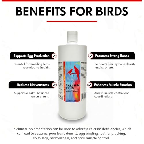Morning Bird Calcium Plus Liquid for Birds – Calcium Supplement with Vitamins and Minerals for Strong Eggshells, Healthy Bones - Support Growth, Breeding, and Wellness for All Birds 32 Fl Oz - size: 32 Fl Oz