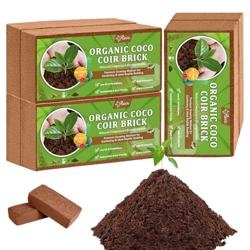 Riare 6pcs Organic Coco Coir Bricks Soil Blocks- 100% Natural Compressed Coco Peat Brick Coconut Fiber Substrate with Low EC& pH Balance, High Expansion Coco Coir Pith Coconut Husk for Garden - color: Pack of 6