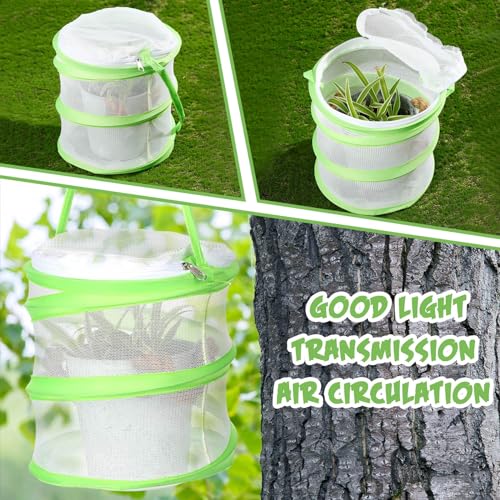 Sherr 2 Pcs Mini Butterfly Habitat Cage Clear Mesh Butterfly Net Cage Container Foldable Terrarium, 6.2x7.1inch (Green) - color: Green