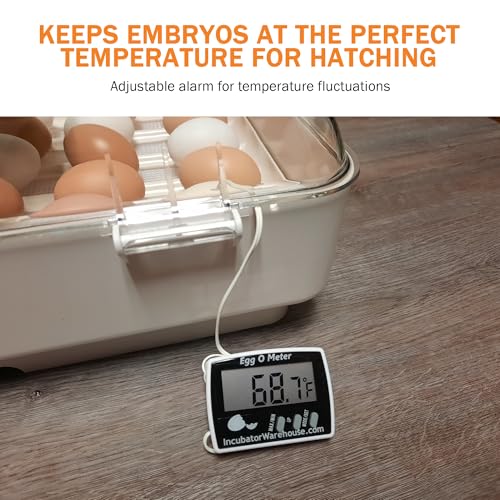 Egg-O-Meter™ - Large Digital Display Egg Thermometer with Min/Max Memory