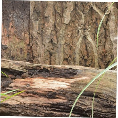 Toddmomy Cork Bark Background for Reptile Tanks and Aquariums Natural Terrarium Decor Safe for Aquatic Animals Compact for Climbing Pets
