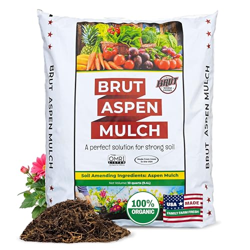 Brut Organic Aspen Mulch 10 QT – Natural Moisture Retainer & Root Protector – Odor-Free, Nutrient-Rich Bark Mulch for Landscaping, Garden Beds & Potted Plants - size: 10 QT