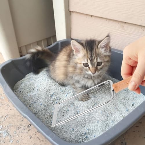 ABOOFAN Cat Litter Scoop Handle Pet Litter Cleaner for Cats Reptiles Capacity Design for Easy Waste Removal Cage