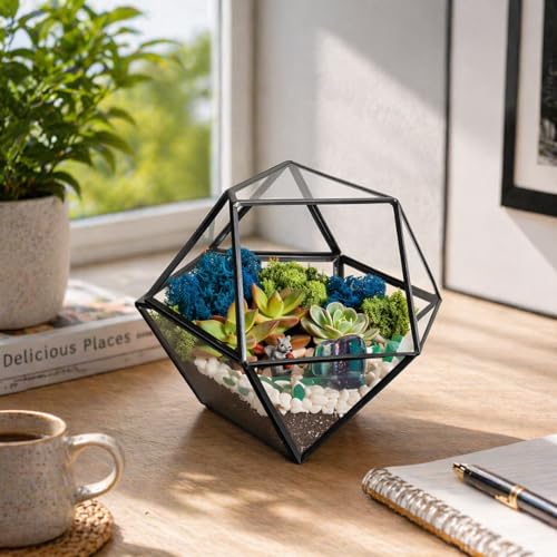 Creations by Nathalie DIY 7" Geometric Terrarium Kit - Build Your Own Glass Terrarium for Adults & Teens with Moss, Crystals, Tools & Decorative Figurine - Mini Ecosystem (Plant Not Included) - color: 7” Geometric Dodecahedron