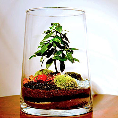 Mosser Lee ML0810 Horticultural Charcoal, 2.25 dry qt.