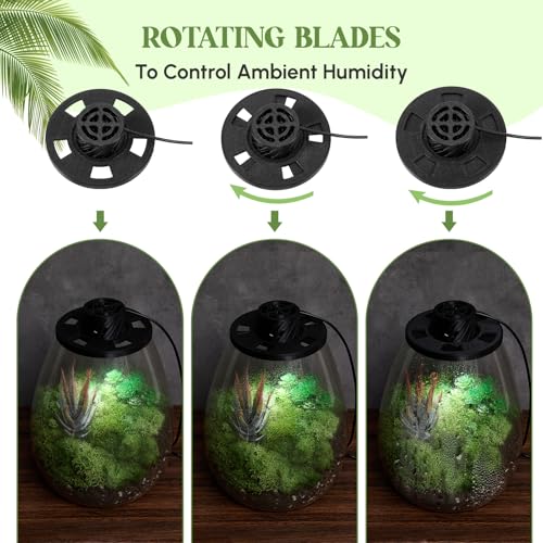 Maxdot Glass Plant Terrarium Kit with LED Grow Light, Desk Terrarium for Venus Fly Trap, Succulents, Moss & Miniature Garden, Borosilicate Glass Desktop Planter for Home Office(6.9 x 7.8 Inch) - size: 6.9 x 7.8 Inch