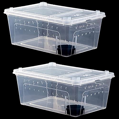 kathson 2PCS Reptile Feeding Box Portable Small Snake Terrarium Habitat Mini Pet Breeding Cage Hatching Container Transparent Gecko Houses for Small Frog Tarantula Spider Scorpion (White) - color: White