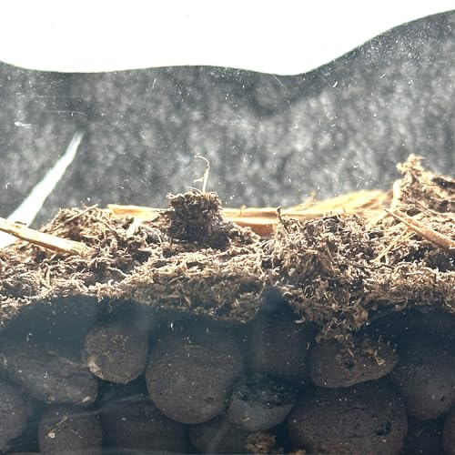 CTWPets Reptile Substrate Liner for Terrarium, 24"x18" Substrate Guard Mesh