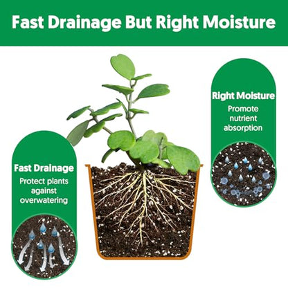 Succulent Cactus Potting Soil Mix (8 qt), All-Purpose Garden Potting Mix for Indoor Outdoor Plants, Quick Drain Houseplant Orchid Bonsai Perlite Soil, Ready-to-Use, Resealable Bag Design - size: 8 qt