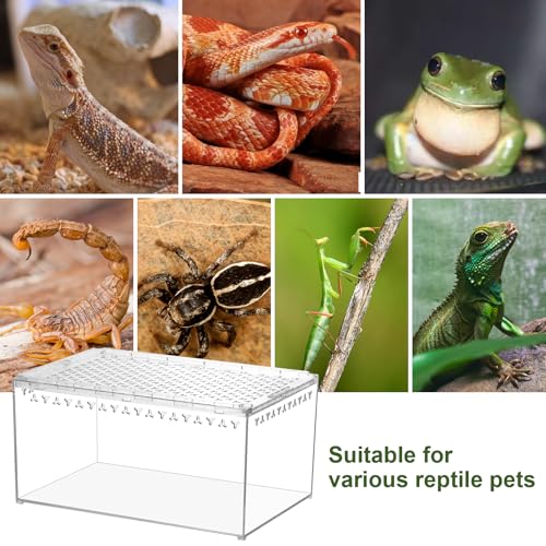Reptile PC Terrarium 11.8" x 7.87" x 5.9" Full View Enclosure for Reptiles Geckos Tarantulas Spiders Insects with Hide Cave Feeding Bowl (L-Starter Kit) - size: L-Starter Kit