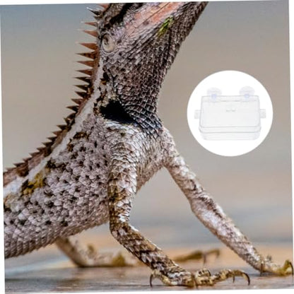 VILLCASE Reptile Feeding Dish with Suction Cup, Large Water Bowl Feeder for Bearded Dragons, Geckos, and Lizards, Escape-Proof Food and Water Container for Terrarium Use