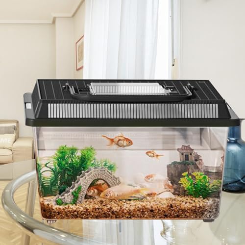 Reptile Container – Transparent Carrier, Portable Handle Design, Durable PET Material, Compact Habitat Feature, Easy Clean Structure | Perfect Feeding Housing Gecko Crab Hermit Turtle Snail