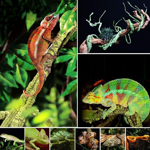 kathson 2 PCS Reptile Corner Branch with Suction Cup, Lizard Climb Branches Decor Reptile Vines Plants Flexible Bendable Jungle Climbing Vine