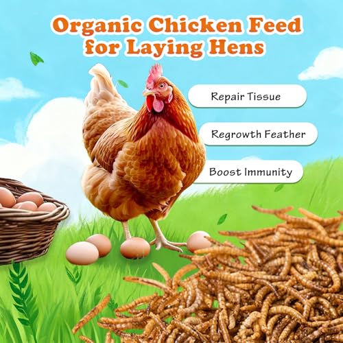 Amzey Dried Mealworms 11 LBS - 100% Natural for Chicken Feed, Bird Food, Fish Food, Turtle Food, Duck Food, Reptile Food, Non-GMO, No Preservatives, High Protein and Nutrition - size: 11 Pound (Pack of 1)