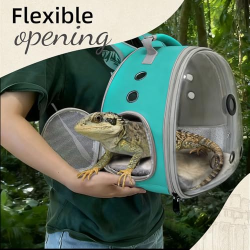 Bearded Dragon Travel Backpack Carrier with Reptile Thermometer and Humidity Gauge Lizard Travel Cage Space Capsule Clear Bubble Window Astronaut Reptile Bag for Ball Python (Green, Backpack+I LSH) - color: Green, size: Backpack+I LSH