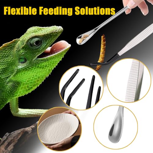 Ouliget Reptile Feeding Tool Set,Rubber Tip Straight Curved Feeding Tongs Tweezers Feeding Spoon,Small Reptile Food Plastic Dish Bowl for Geckos Lizards Bearded Dragons