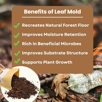 SCOTTY'S BUGS All Natural Leaf Mold for Bioactive Terrariums & Vivariums – Perfect for Isopods, Springtails, Amphibians & Reptiles – 12oz. Pack - size: 12oz-LeafMold