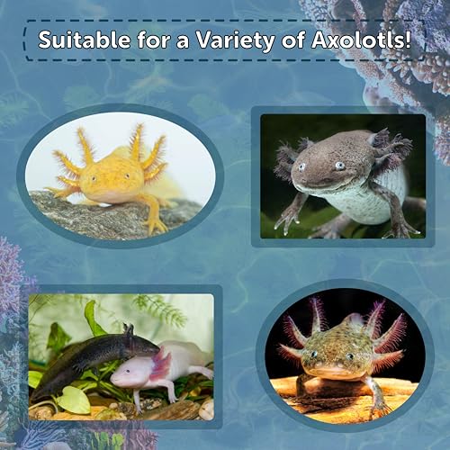 Axolotl Pellet Food 1/4" Soft Moist Sinking Pellets for Juvenile Axolotl Also Shrimp, Snails, Crayfish, Bottom Tropical Fish, Blackworm Pellets Included 12oz Canister