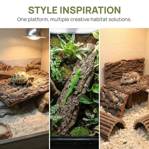 BESPORTBLE 2 Pack Reptile Bark Platform, Natural Tree Bark Climbing Shelf for Lizards, Geckos, Turtles, Snakes and Small Terrarium Pets