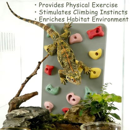 3D Reptile Climbing Wall, Natural Textured Habitat Decor for Bearded Dragons, Leopard Geckos, Lizards, Snakes, Frogs & Amphibians – Terrarium & Paludarium Tank Accessories