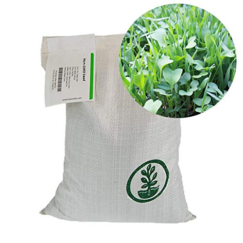 Mountain Valley Seed Co No-Till Farm and Garden Cover Crop Mix Seeds | 25 Lbs Bulk - Blend of Gardening Cover Crop Seeds: Hairy Vetch, Daikon Radish, Forage Collards, Triticale, More - size: 25 lbs