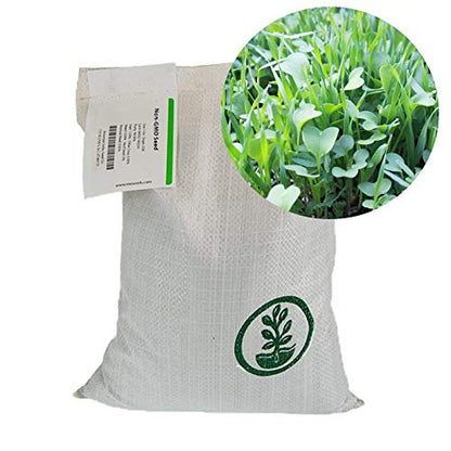 Mountain Valley Seed Co No-Till Farm and Garden Cover Crop Mix Seeds | 25 Lbs Bulk - Blend of Gardening Cover Crop Seeds: Hairy Vetch, Daikon Radish, Forage Collards, Triticale, More - size: 25 lbs